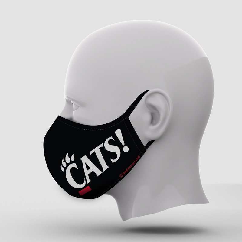 Custom Mask GoCats